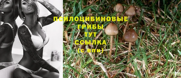 амф Алзамай