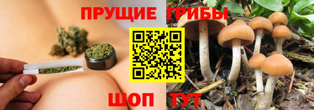 Псилоцибиновые грибы Magic Shrooms  Псилоцибиновые грибы ЛСД  Вход с VPN  Калач-на-Дону 